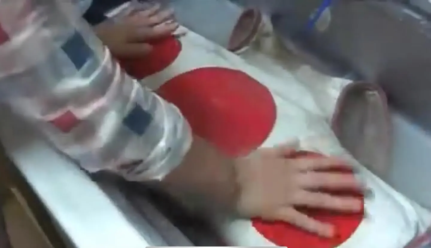 暑苦しい毎日です。