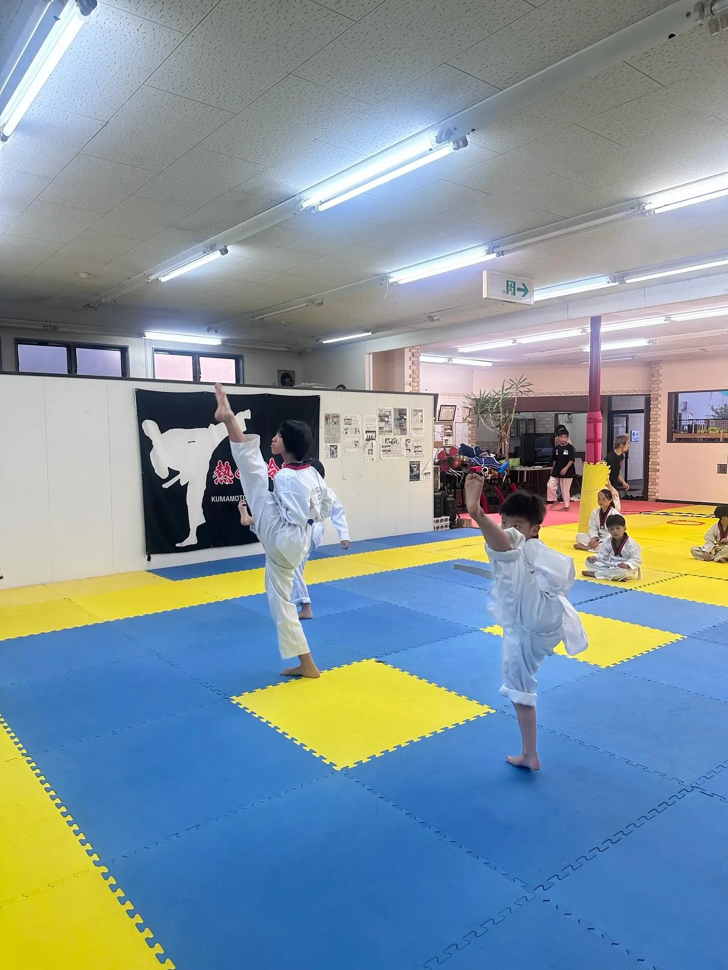 阿蘇夏季昇級審査