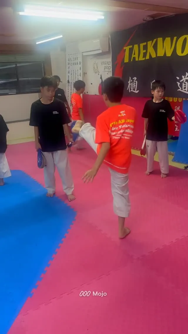 テコンドー樋口道場夏季昇級審査も、もうすぐ！